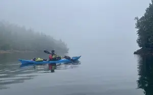 Read more about the article The Great Bear Rainforest–Musings of a Newbie Kayaker